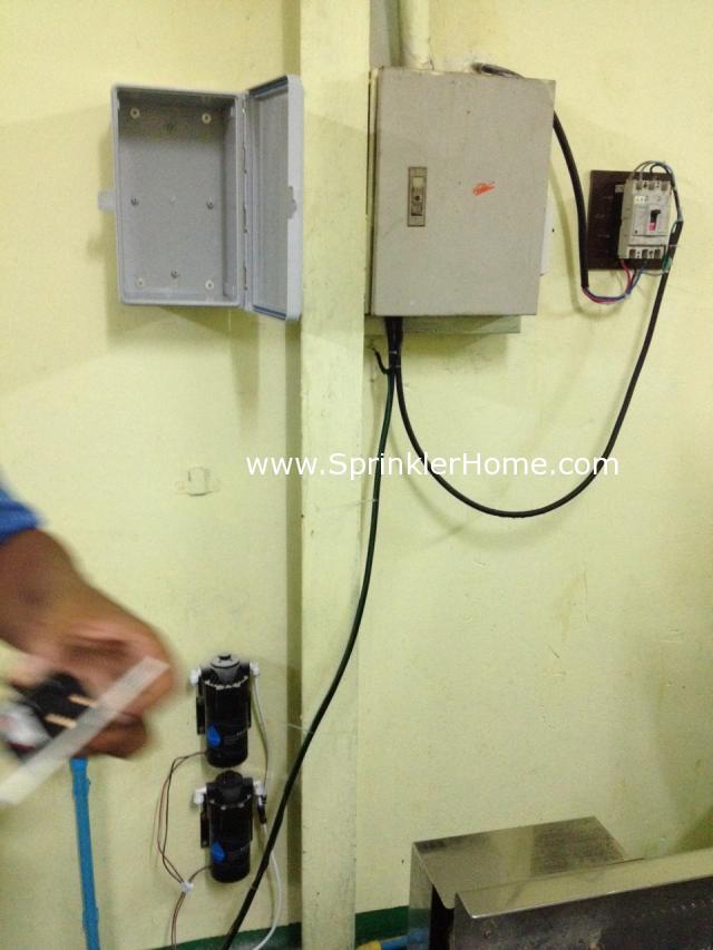 ระบบสปริงเกอร์