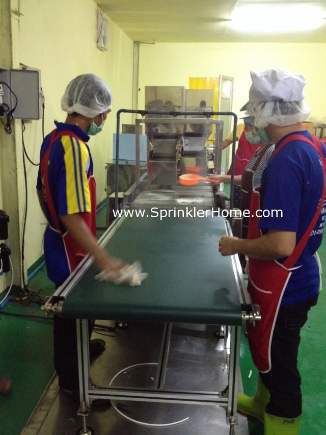 ระบบสปริงเกอร์