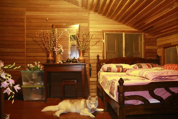 รีโนเวท บ้านรกร้าง อย่างแจ่ม