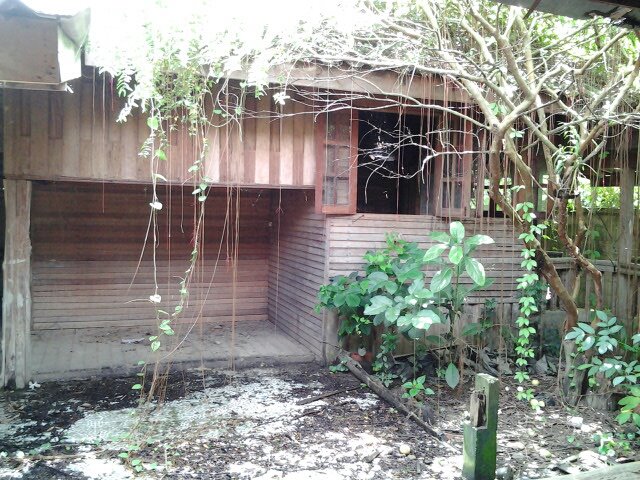 รีโนเวท บ้านรกร้าง อย่างแจ่ม