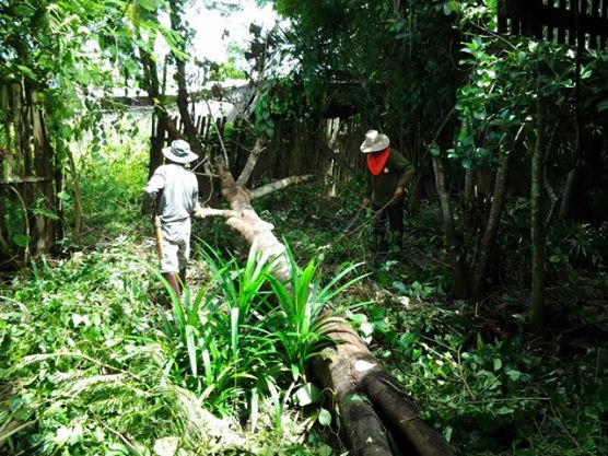 รีโนเวท บ้านรกร้าง อย่างแจ่ม