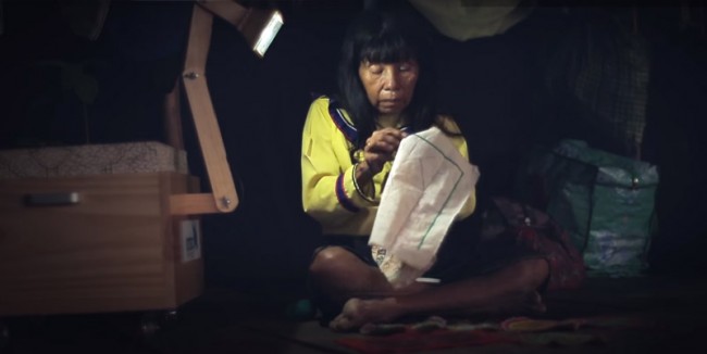 ปลูกต้นไม้ให้แสงสว่างแทนหลอดไฟได้ โคมไฟพลังงานพืช