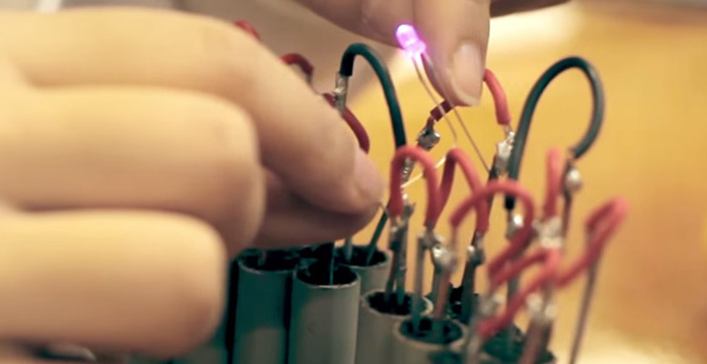 ปลูกต้นไม้ให้แสงสว่างแทนหลอดไฟได้ โคมไฟพลังงานพืช