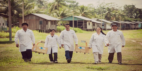 ปลูกต้นไม้ให้แสงสว่างแทนหลอดไฟได้ โคมไฟพลังงานพืช