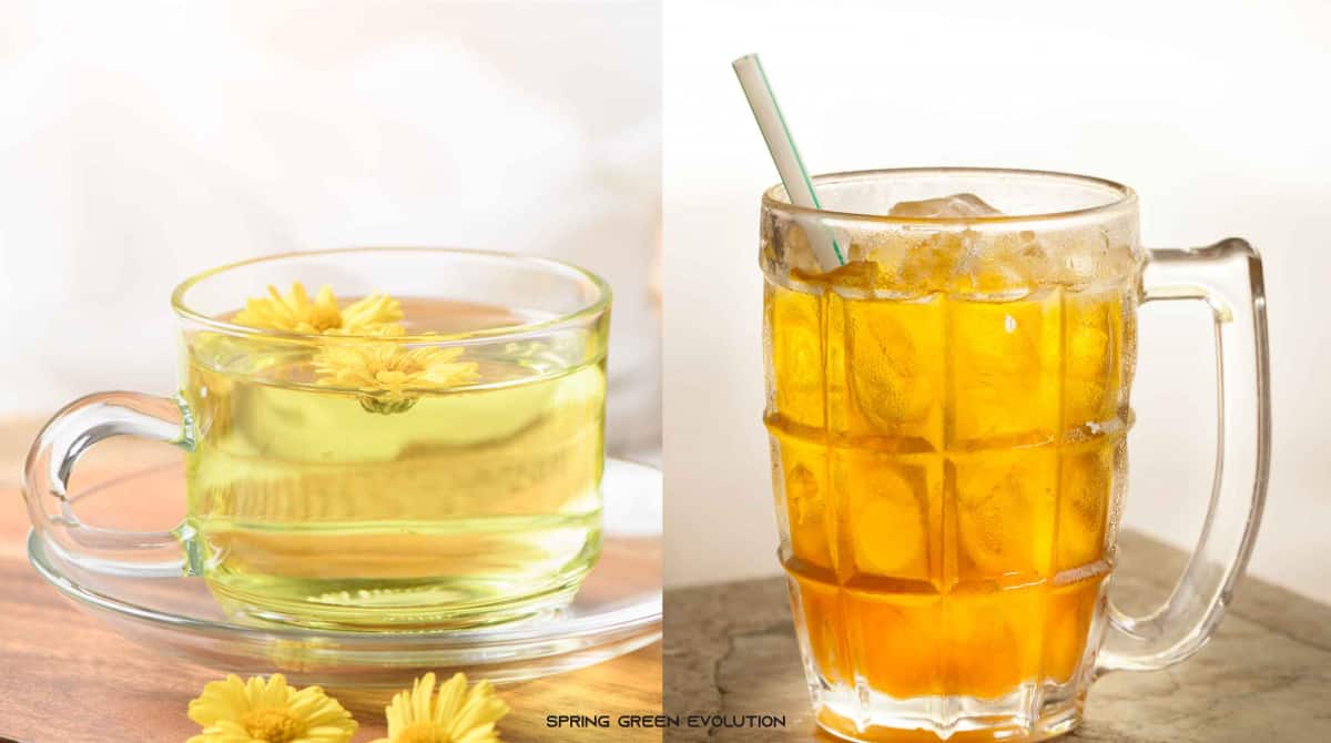 เก็กฮวย มีประโยชน์และโทษ อะไรบ้าง