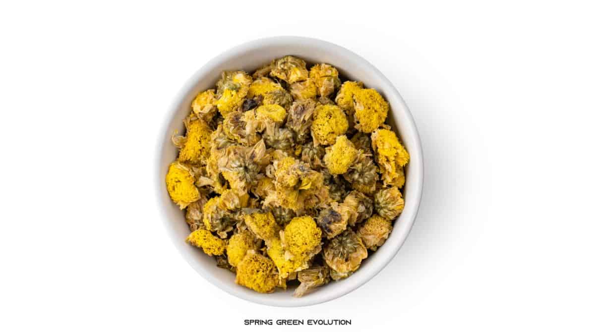 เก็กฮวย มีประโยชน์และโทษ อะไรบ้าง