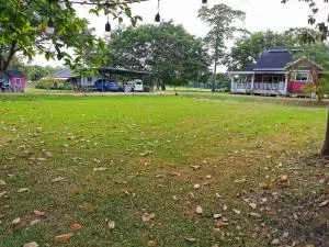 ระบบสปริงเกอร์