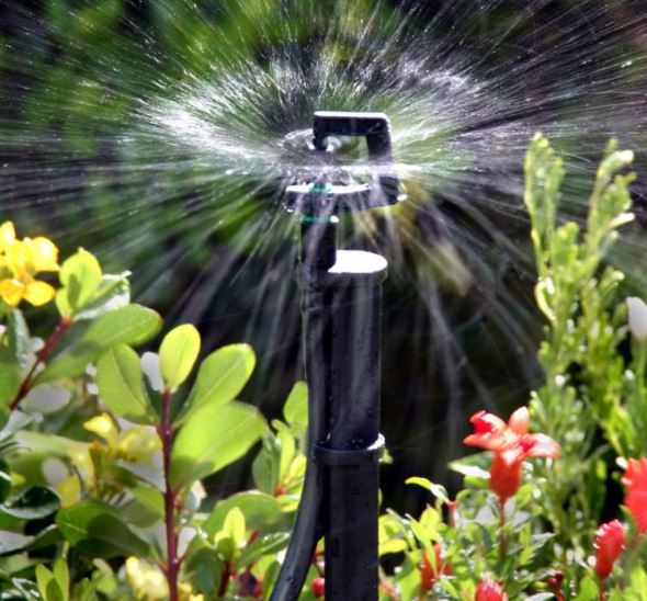 ติดตั้งระบบสปริงเกอร์ รดน้ำต้นไม้ ควรรู้อะไรบ้าง