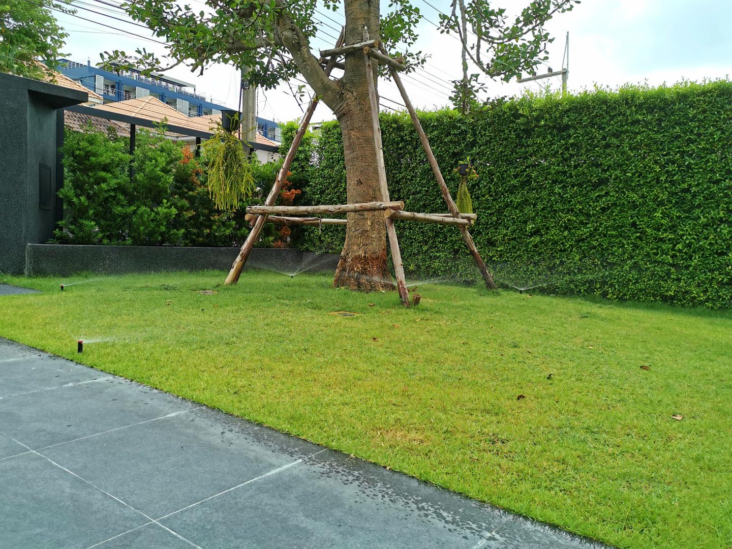 ติดตั้งระบบสปริงเกอร์ รดน้ำต้นไม้ ควรรู้อะไรบ้าง