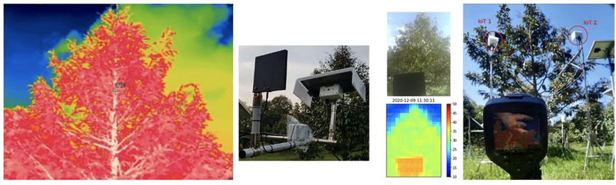 ระบบรดน้ำต้นไม้ ติดสปริงเกอร์ อัตโนมัติ อัจฉริยะ คืออะไร