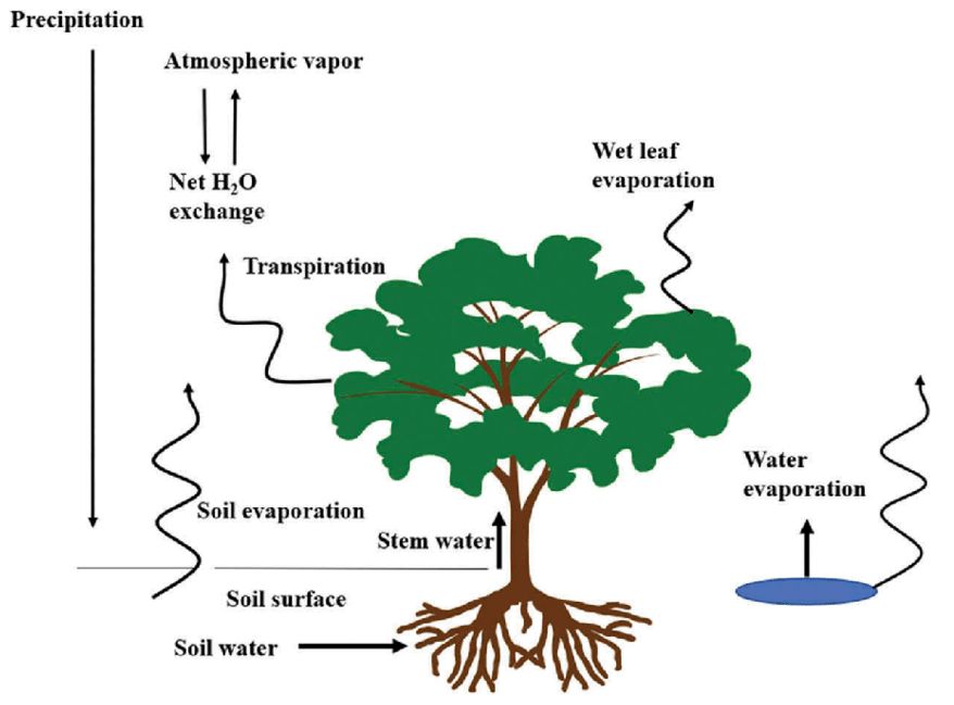 ระบบรดน้ำต้นไม้อัตโนมัติ อัจฉริยะ คืออะไร