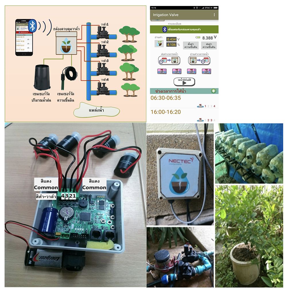 ระบบรดน้ำต้นไม้ ติดสปริงเกอร์ อัตโนมัติ อัจฉริยะ คืออะไร