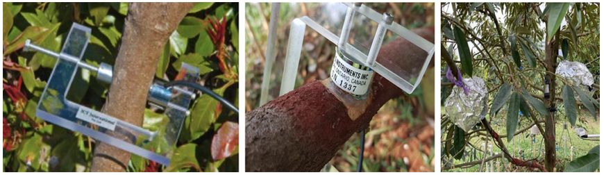 ระบบรดน้ำต้นไม้ ติดสปริงเกอร์ อัตโนมัติ อัจฉริยะ คืออะไร