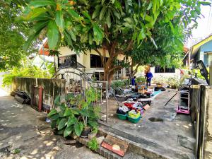  สปริงเกอร์